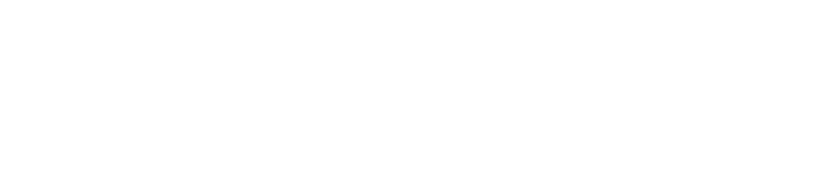 Opsergo Logo